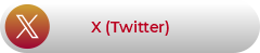 X (Twitter)